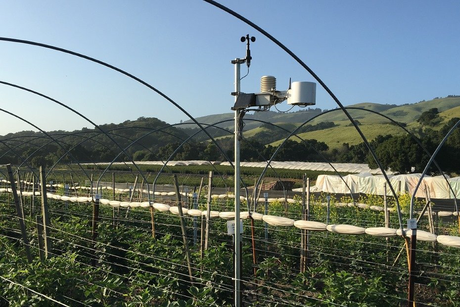 Da oggi è possibile INTEGRARE CENTRALINE PESSL INSTRUMENTS sulla piattaforma di monitoraggio di IFarming. Per informazioni: info@ifarming.it
#agricolturadiprecisione #agricoltura40 #smartfarming