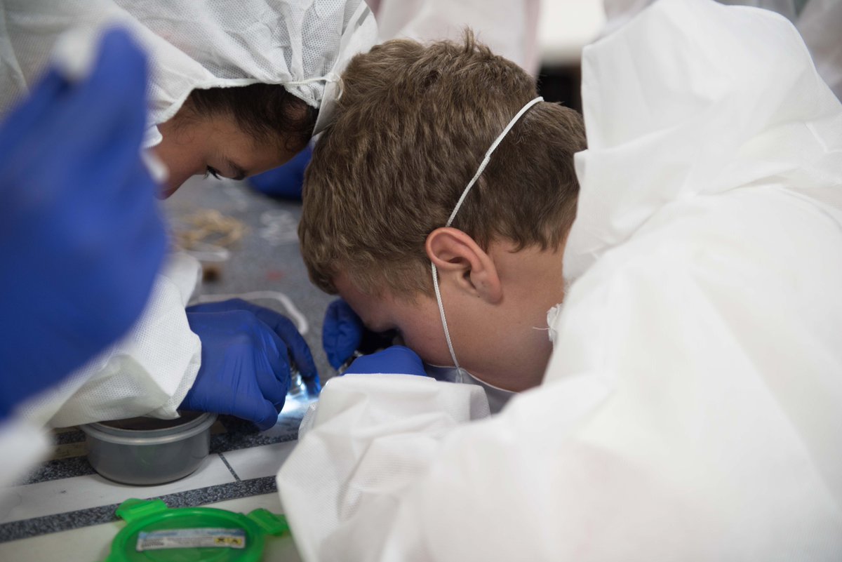 AHPrepScience's tweet photo. Eyes down and total concentration all round as our Year 8's immerse themselves in the world of forensics @pulsecsi #AHPrepSchool #PostCE #Science #Solvethemystery https://t.co/ltXgcPj2LO