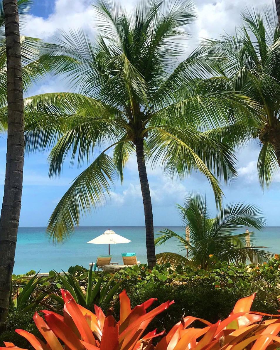 SaintPetersBay's tweet photo. Out of office! #traveltuesday #stpetersbaybarbados
📸@bniesen https://t.co/g1VYUdBXRE