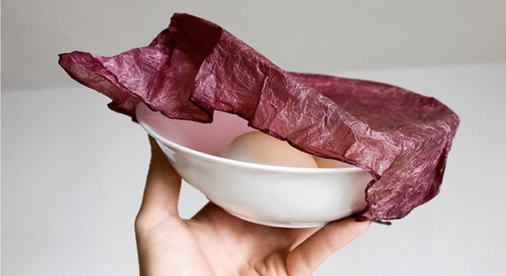 #Rappel Des emballages fabriqués à partir de déchets agricoles. Après utilisation, il peuvent être compostés comme des légumes via lesclesdedemain.lemonde.fr/societe/des-em… #ZeroDechet #economiecirculaire #durable #environnement