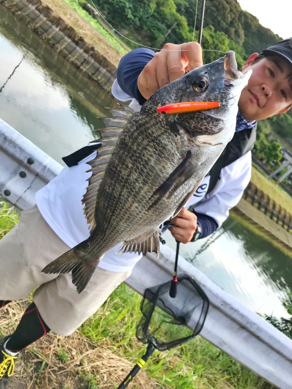 山崎 正人 Twitter પર トップチニング シーズンイン 最近ちょこちょこトップチニングしていて 行く度に数も増えて 浮いているチヌも増えてきています 一緒にシーバスが釣れるのも魅力の一つですね チニング トップチニング Daiwa