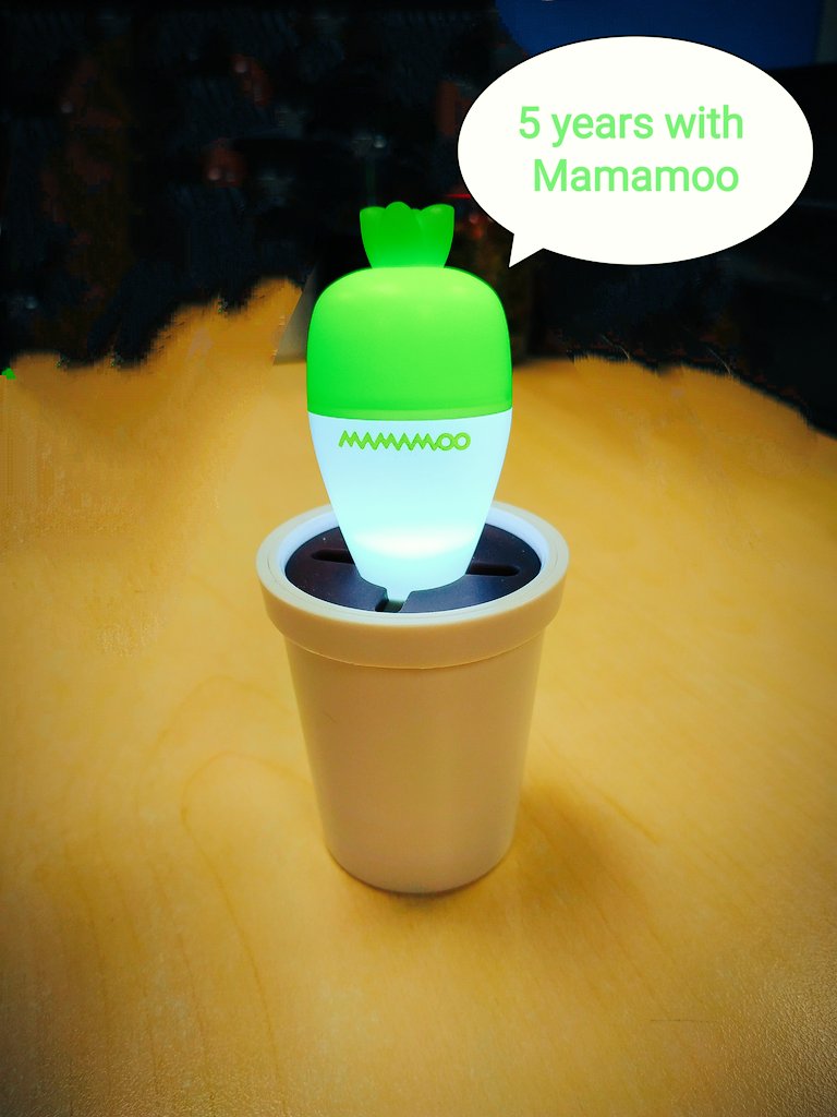 Never letting go
#mamamoo5thanniversary
#마마무와_함께한_5번째_5늘
#5yearswithMAMAMOO