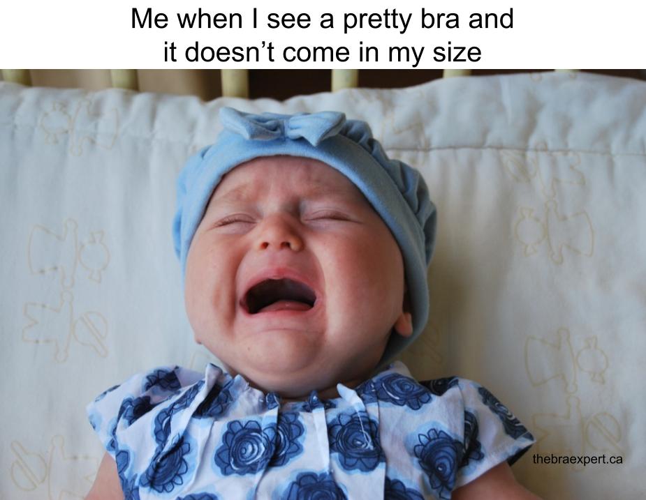 The Bra Expert tweet media