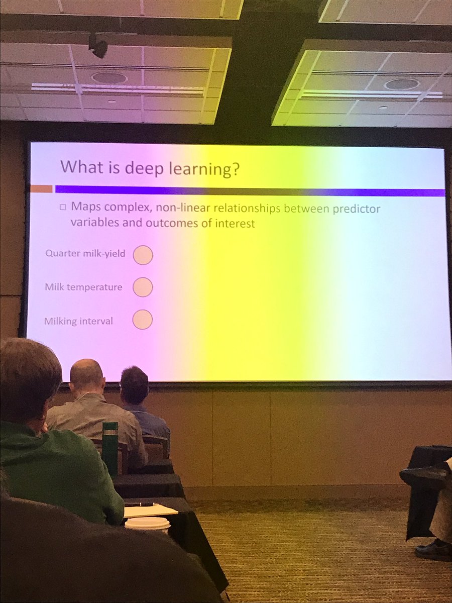 Abbie Rose tweet media