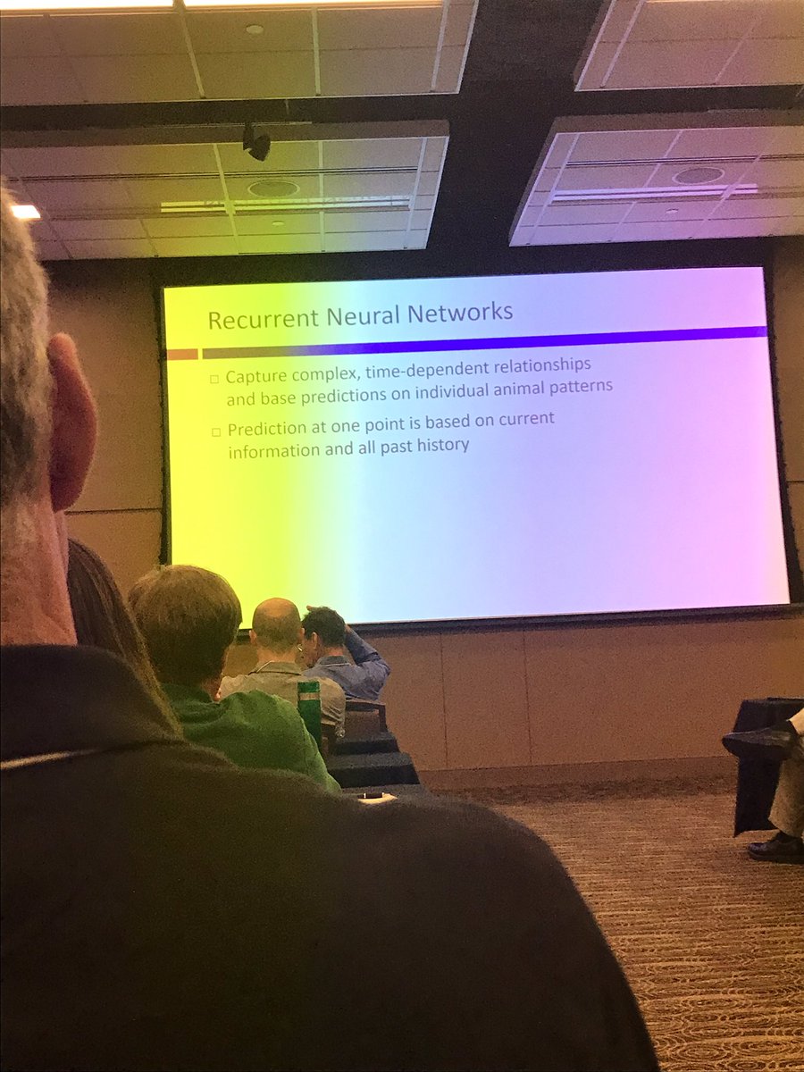 Abbie Rose tweet media