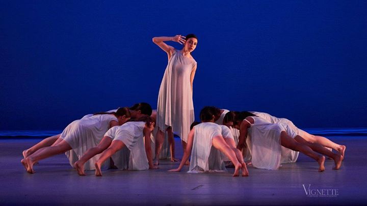 PASCB (@pascbsanantonio) on Twitter photo 