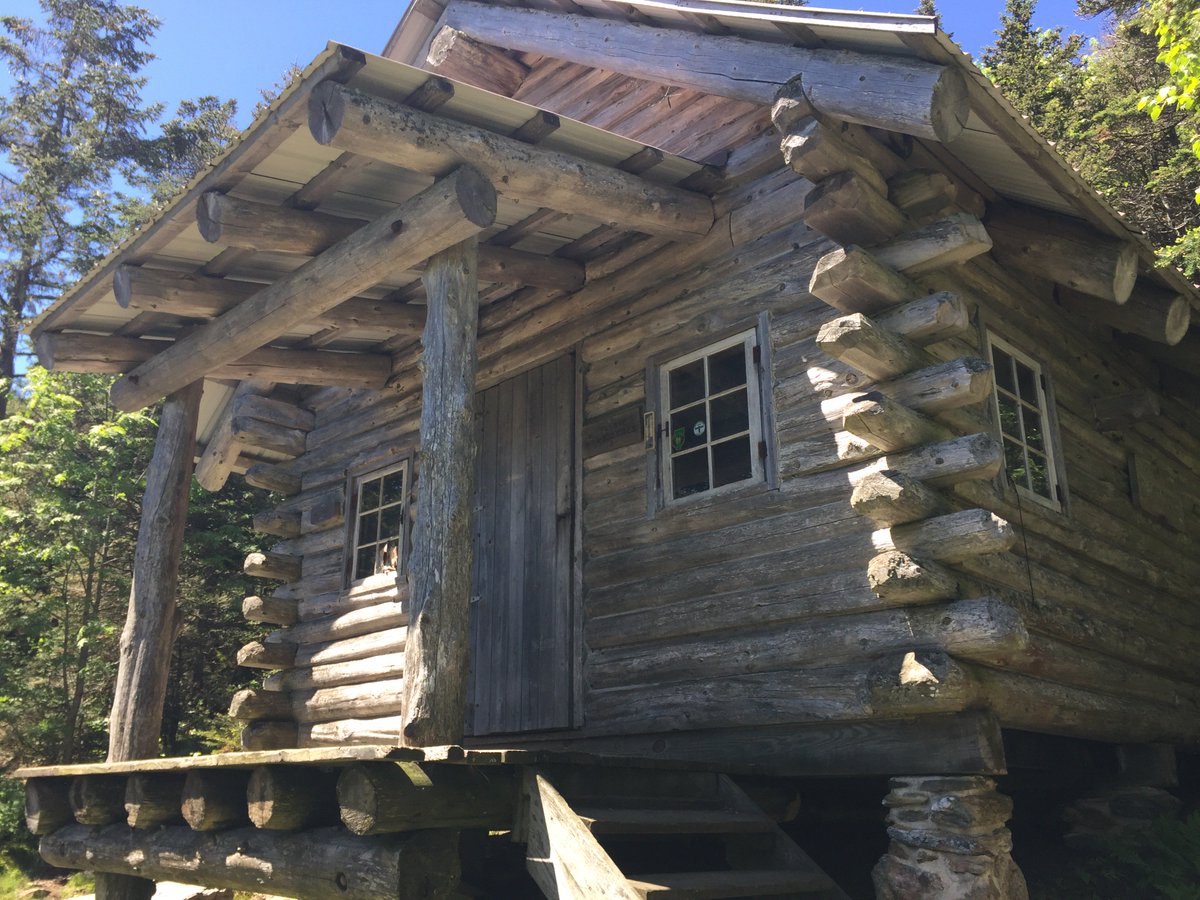 Tom Scavo tweet media