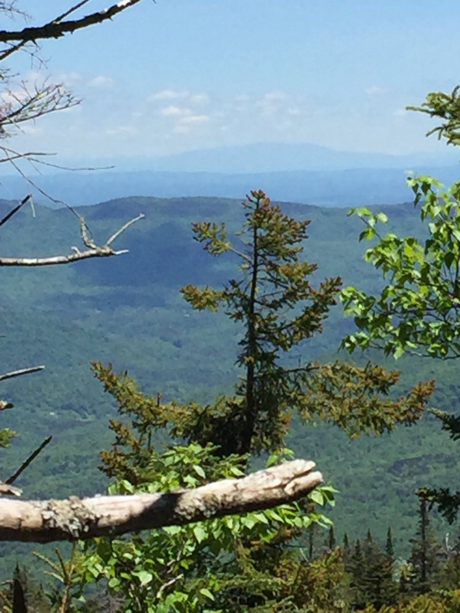 Tom Scavo tweet media