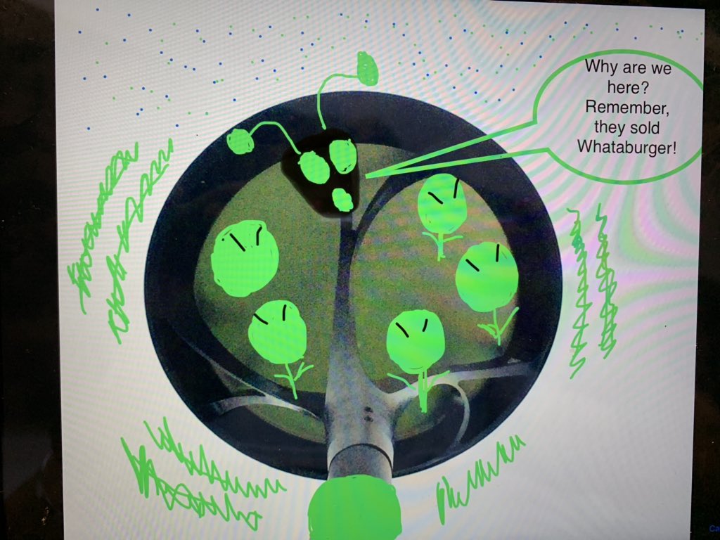 McCharm99's tweet photo. #EveryOneCanCreate, taking everyday objects and making them into something unimaginable! @AppleEDU #wecreated #pictoralize @NISDAcadTech #personification #ThisIsNorthside @NISDCNE #Sswillovethis @NISDHatchett_3 https://t.co/HTshOjESew