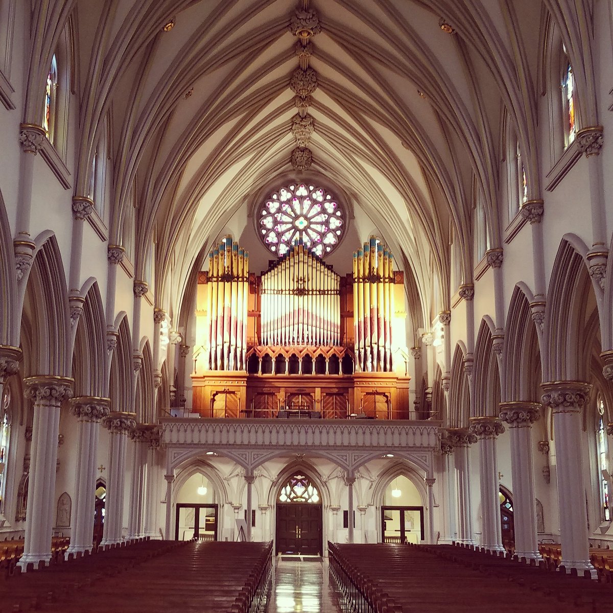 Heal_Love_notes's tweet photo. St. Joseph's Cathedral
Buffalo, NY
#stjosephscathedral #cathedral #buffalo #gottacheckitout #checkitout #beautiful #Inspiring #timeless #majestic https://t.co/7cXb0vNwU8