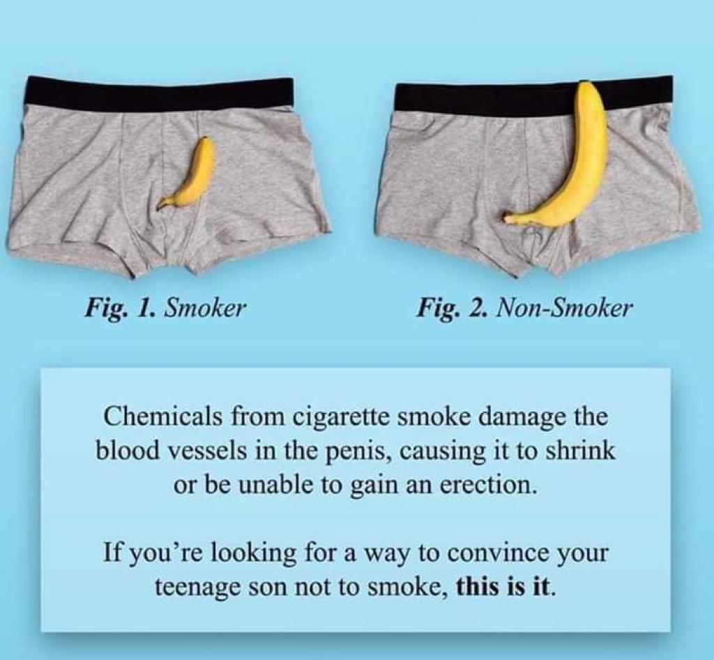 Chemicals from #cigarettes smoke damage the blood vessels in the #penis,  causing it to shrink or unable to gain an erection. Keep off #tobacco  #BreatheKE