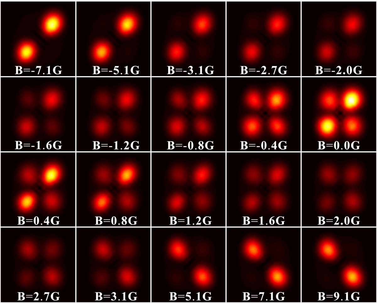 OpticaPubsGroup's tweet photo. An Editors' Pick from #OSA_OL: Observing quantum coherence induced transparency of hybrid vector beams in atomic vapor https://t.co/wp6AmoikSv #VectorBeams #QuantumCoherence https://t.co/5dpIowpn9O