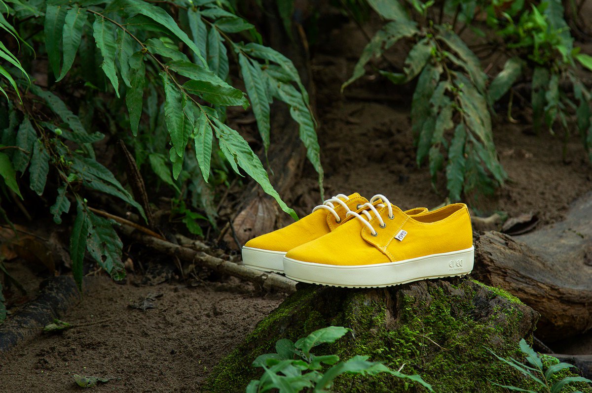 SERNANP's tweet photo. ¡Ejemplo de conservación con desarrollo!
👨‍👩‍👧‍👦Comunidades nativas aledañas a RC Tuntanain aprovechan shiringa como insumo para zapatillas de @evea_ecoamazon👞
💪Esta iniciativa es fruto de articulación con Sernanp para conservar los bosques y el desarrollo de familias de Amazonía🌳 https://t.co/zoxr7aCNxV