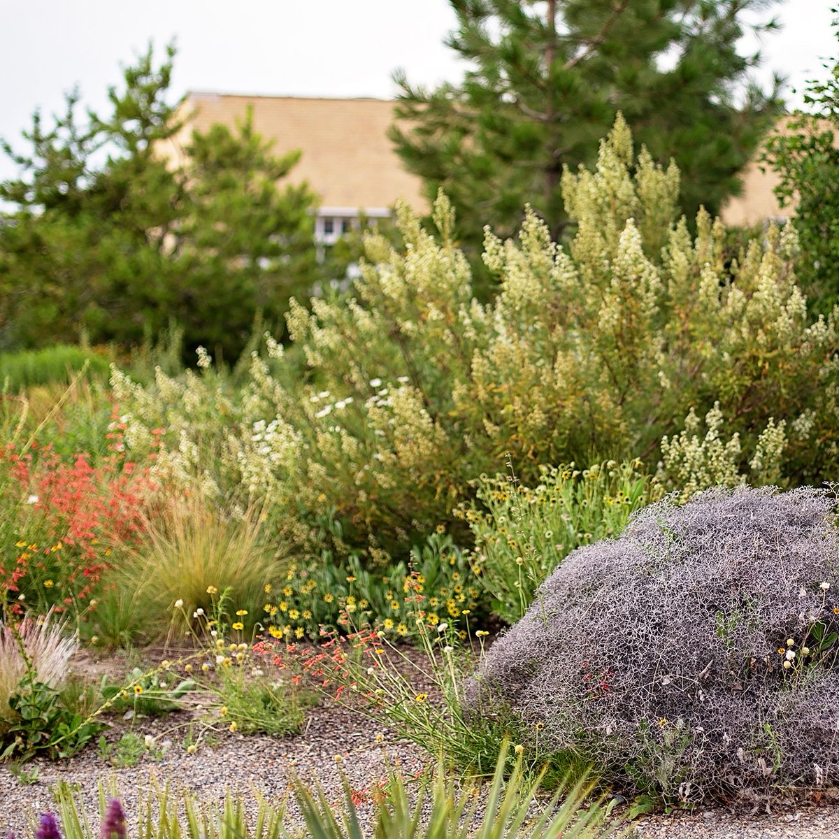 SustainUSU's tweet photo. #USU received a @PepsiRecycling Zero Impact Grant for a wood chipper to improve our compost system. So far, the compost soil amendment has replaced about 2000 lbs. of chemical fertilizer. We'll see bigger changes by the end of the year! https://t.co/kaGuw7oMmY
