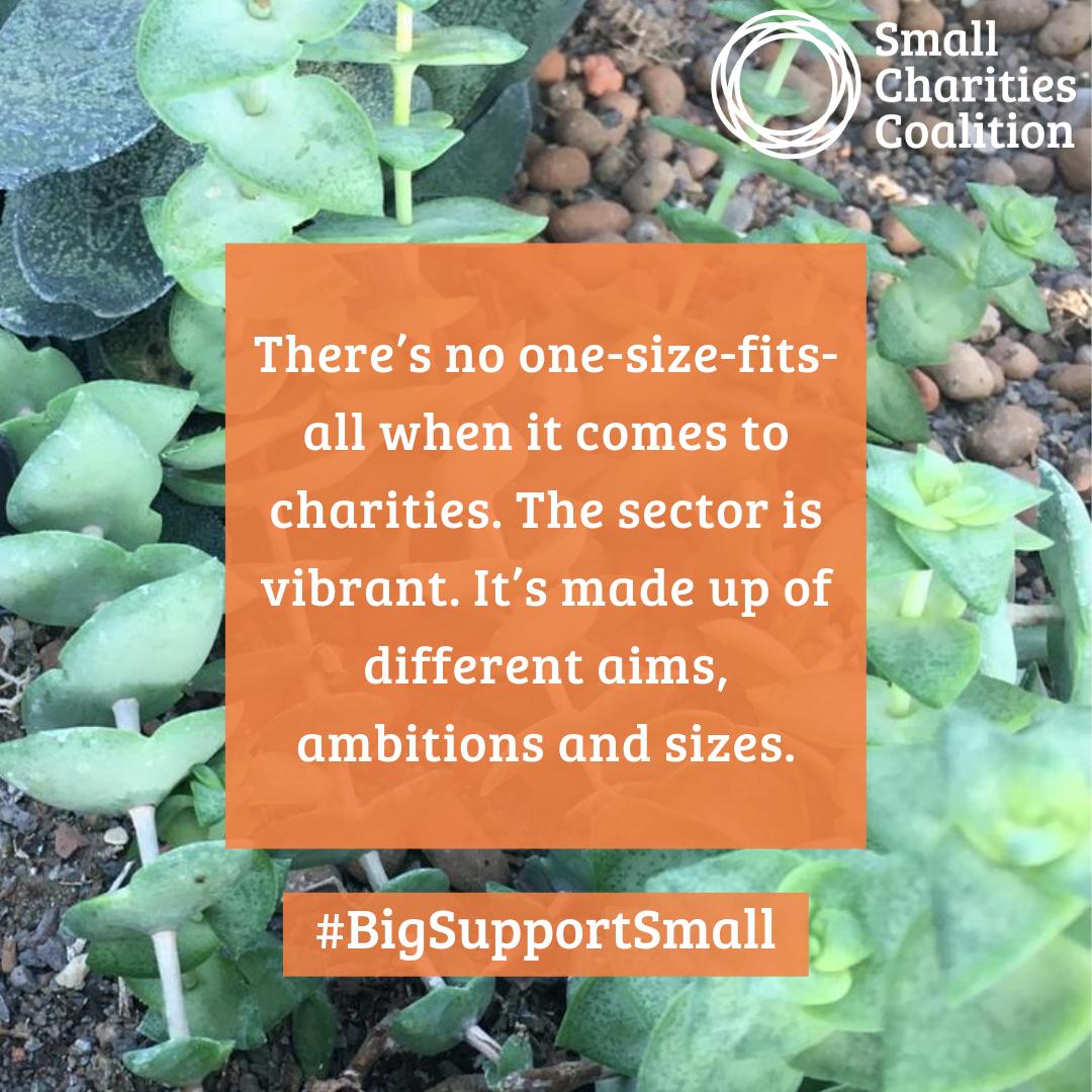NAVCA's tweet image. We love how vibrant the charity sector is - full of charities of different sizes &amp;amp; aims. We’re supporting the @sccoalition #BigSupportSmall campaign to celebrate this, take a look at how our members support small charities throughout England: ow.ly/ir0d50uHbbr