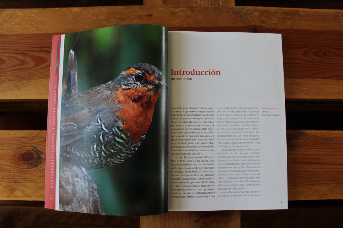 Instituto de Ecología y Biodiversidad - IEB tweet media