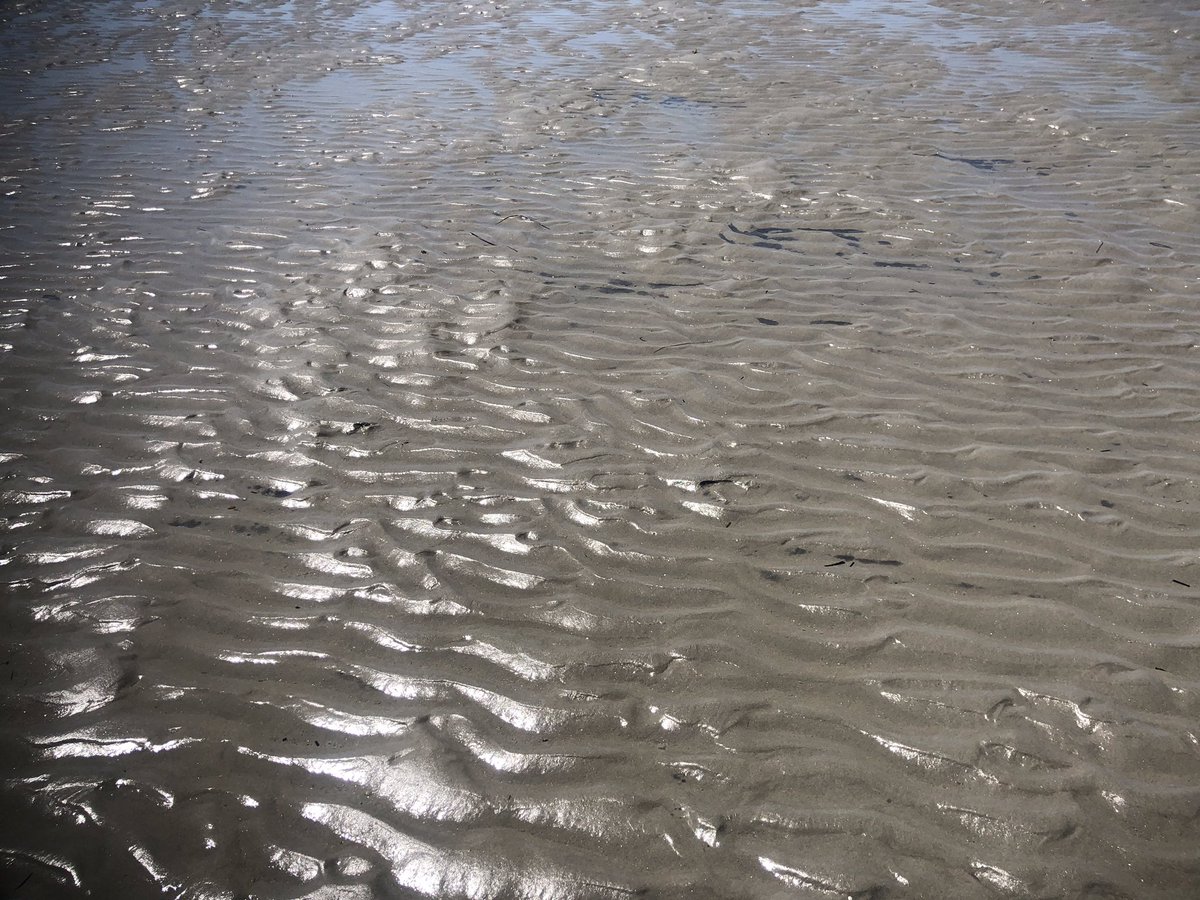 Seaside_Inn's tweet photo. #toesinthesand #TravelTuesday #kennebunkport @Seaside_Inn @KennebunkportME ⚓️ https://t.co/iDjPd6x6Cs