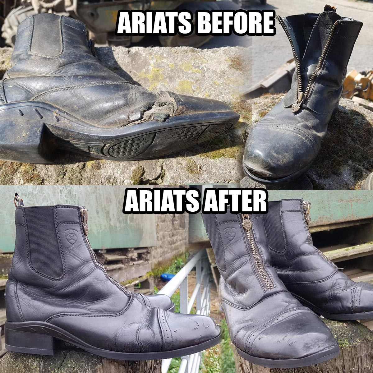 Ariat Ariatboy X