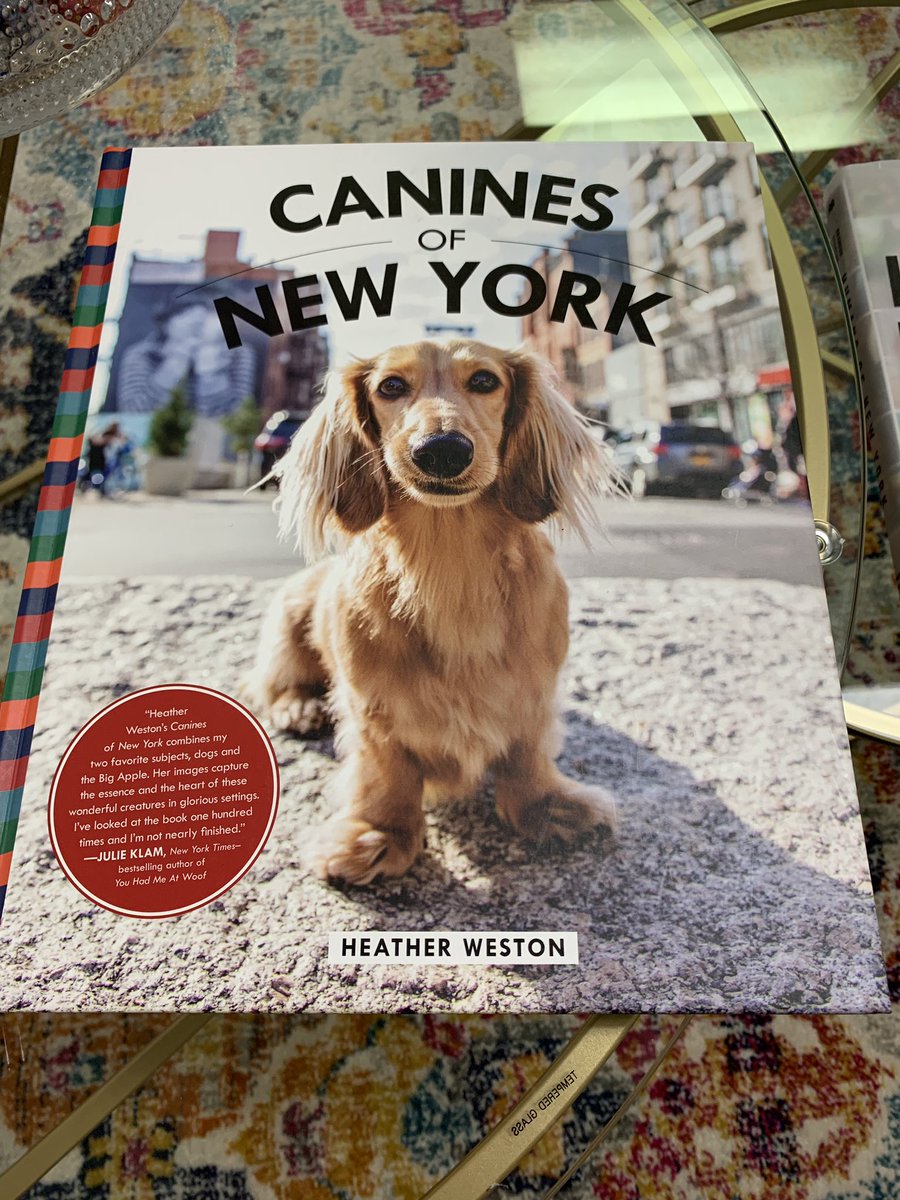 Canines of New York.