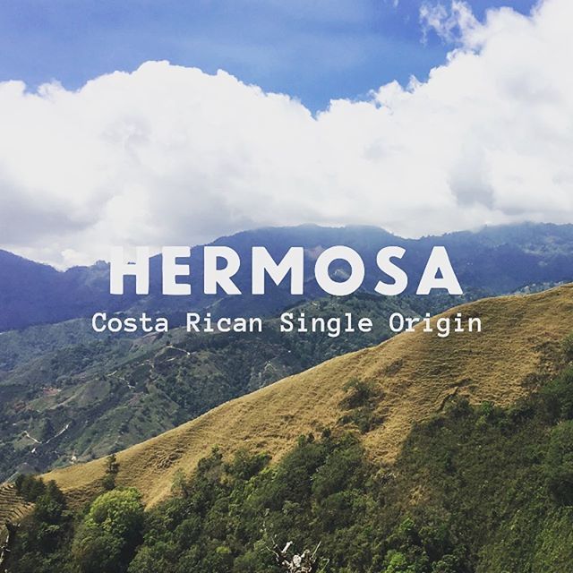 🍯Costa Rica Honey anyone? 🍯 .
.
.
Produced by the members of the Coope Dota in San Jose which was formed in 1929 after farmers built a wet mill to cut out the middlemen &amp; process their coffee together. .
.
.
🌍Origin - Costa Rica
🌳Region - San Jose
☀️Process - Washed &amp; Ho…