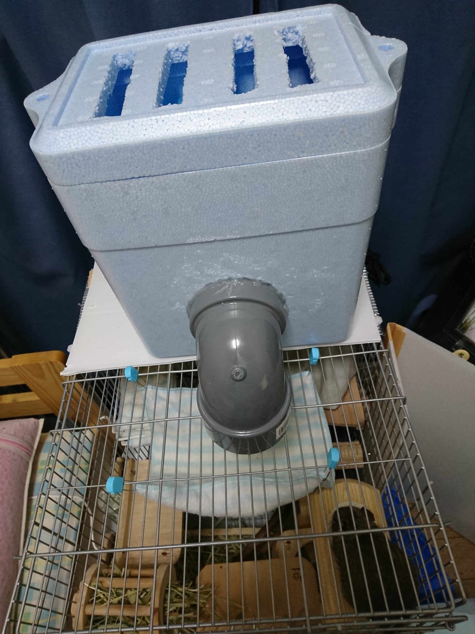 まこ 災害などの停電に備えて 自作クーラーを用意して置きましょう 冬の停電で暖めるより 夏の停電で冷やす手段を探す方が難しいです デグー T Co M00sarlam6 Twitter