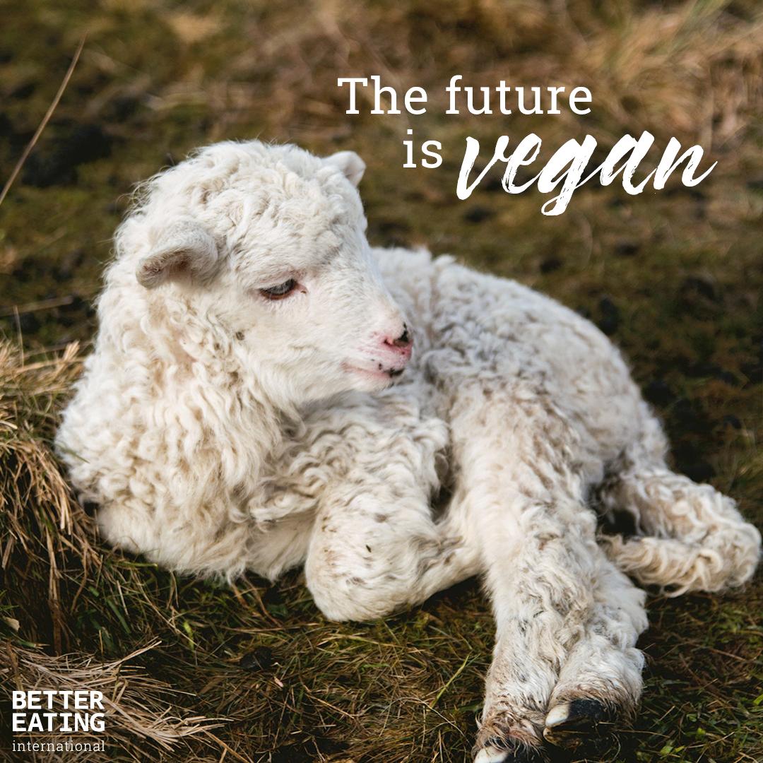 BetterEating_'s tweet image. Because our choices make a difference. ❤️ #vegan