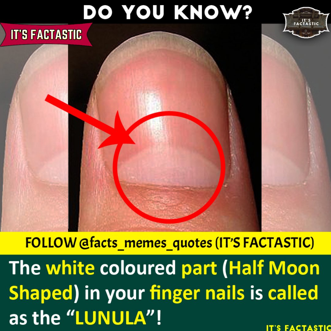 Do You Know What The Half Moon Shape On Your Nails Means The Answer Is More
