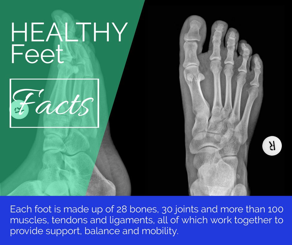 Each #foot is made up of 28 #bones, 30 joints and more than 100 #muscles, tendons and ligaments, all of which work together to provide support, balance and mobility. 
Hence, take care of your #feet as good as you can.