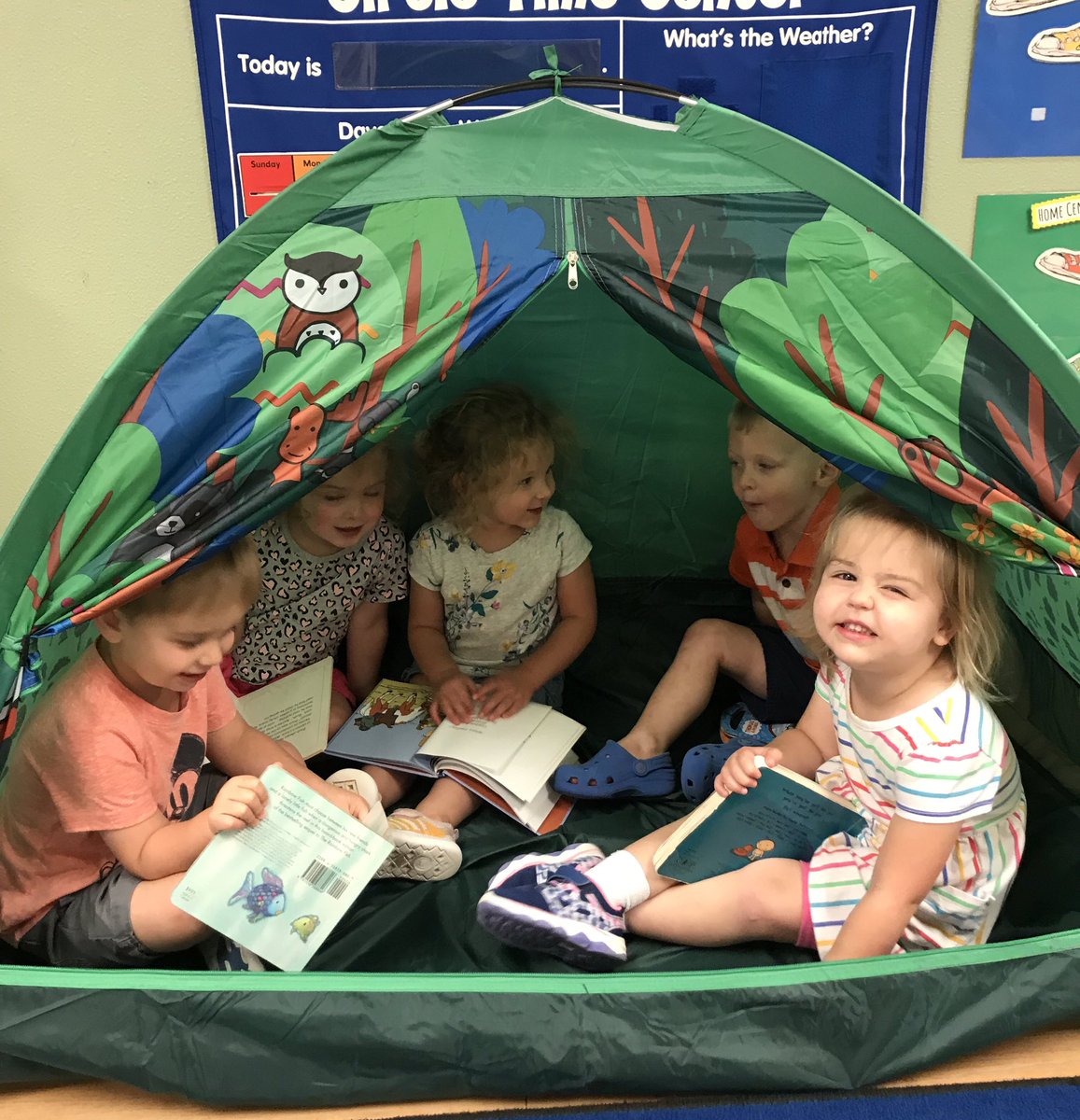 ECDC Bumble Bee tweet media