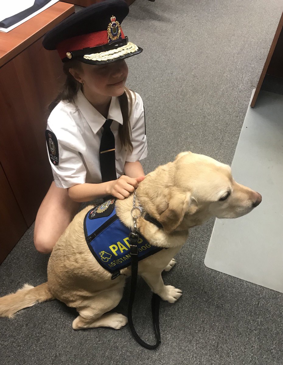 Moose Jaw Police tweet media