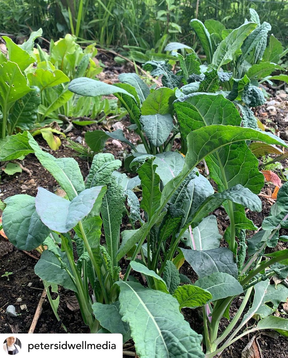 Jam Eater tweet media