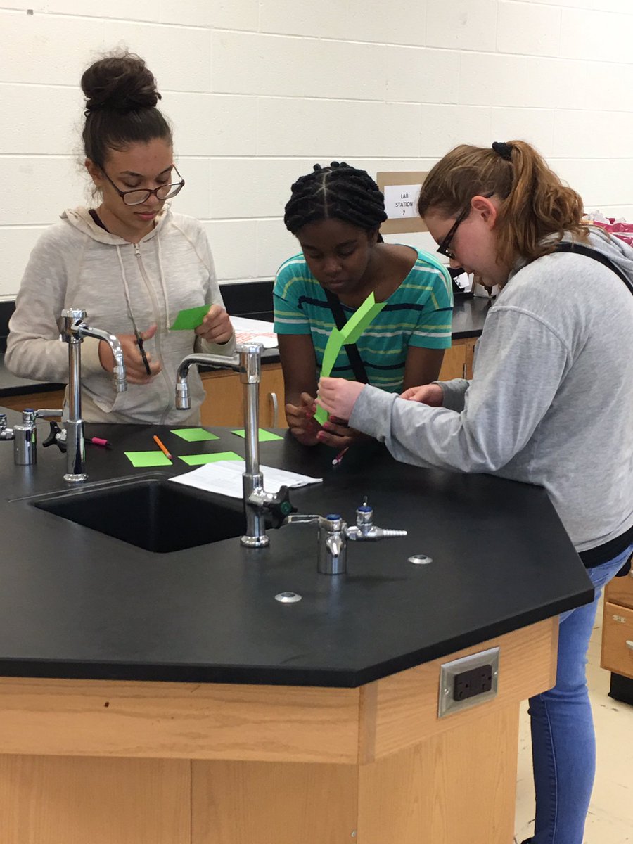 MrsTbel1's tweet photo. Student collaboration and recognizing the value of different ideas. #HenryAdvanced #ExpectExceptional #HenryDiscovers https://t.co/Opo8H8Jb9p