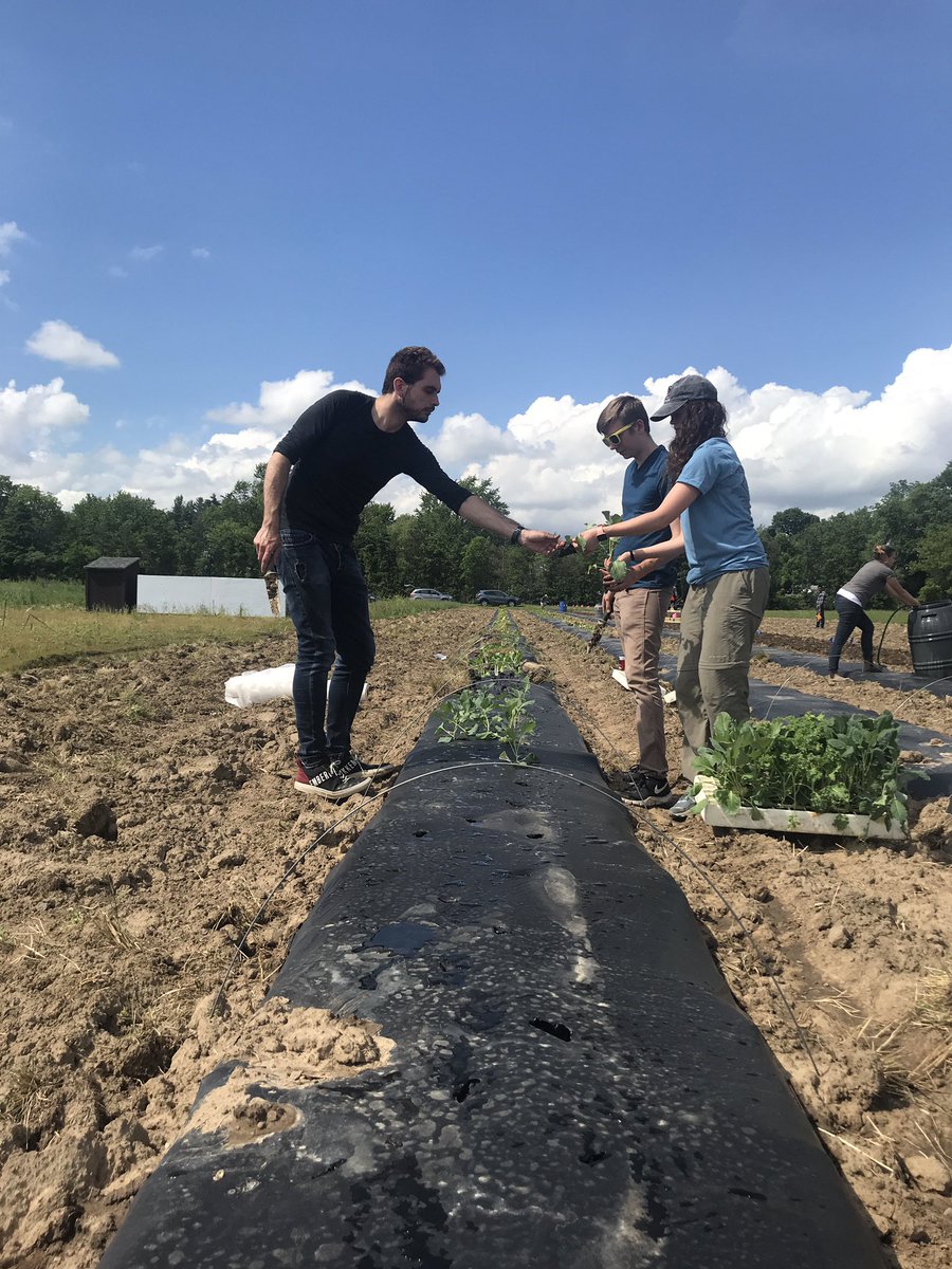 Breanne Kisselstein tweet media