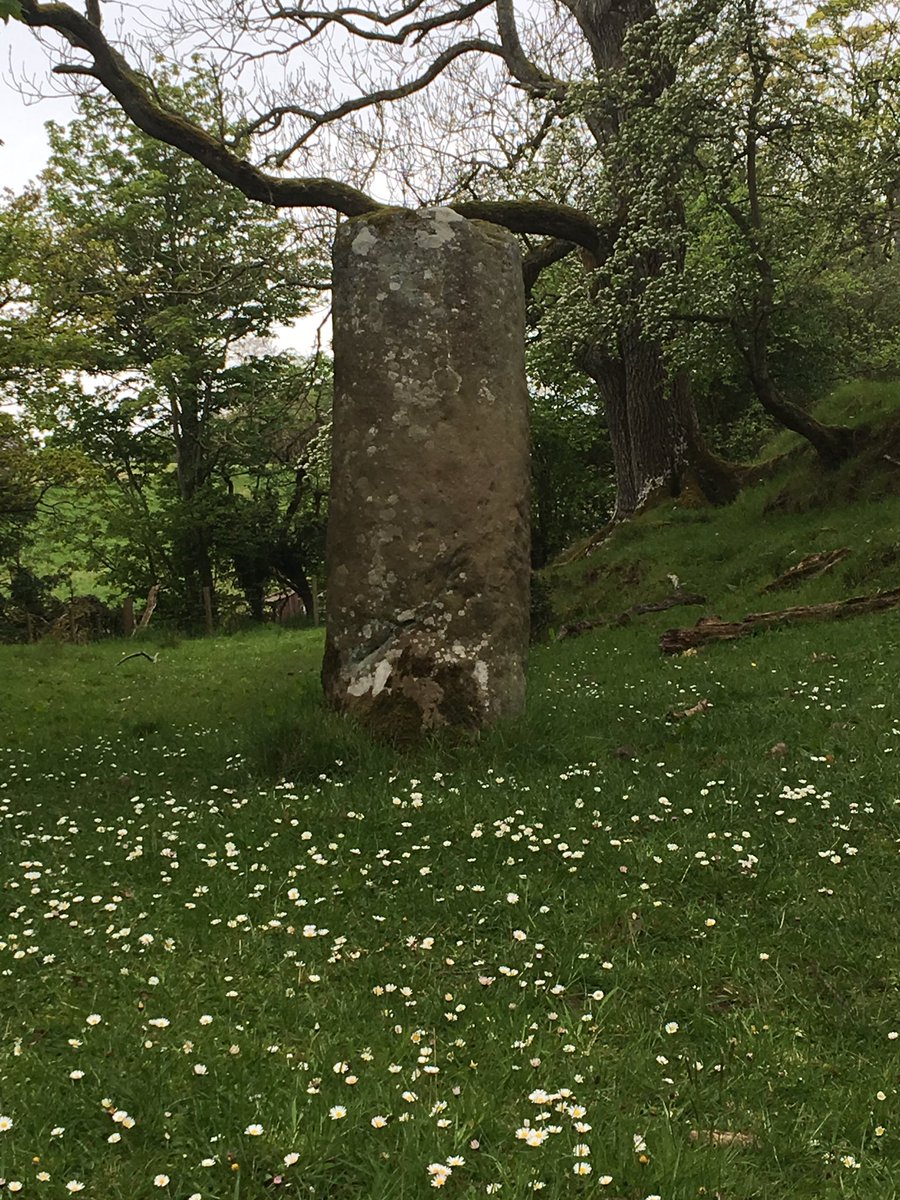 Rosstweed tweet media