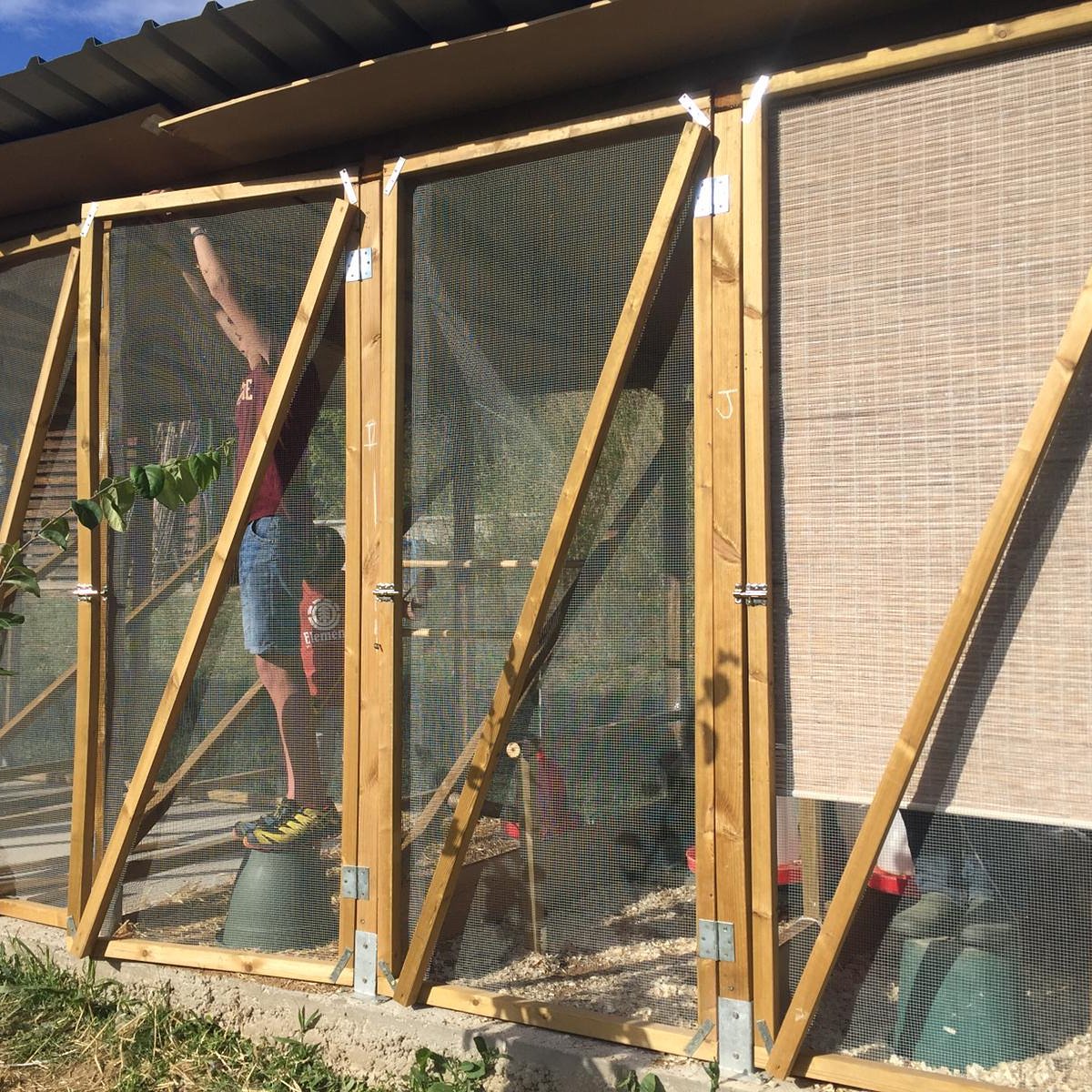 Els horts de Puigvert tweet media