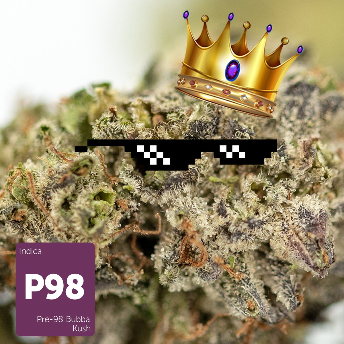 Pre 98 Bubba Kush
Born in the days of grunge, The Spice Girls, and Y2K, Pre-98 Bubba Kush is a blast from the past. #weemo #cannabis #pre98bubba #datkush