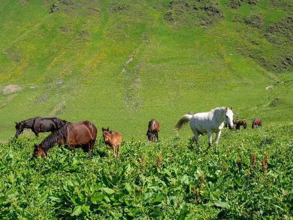 imageupscaler1's tweet image. We continuously  working on our website. After last update it works faster.  First photo -  initial, second after resize. Try it now! :) 
imageupscaler.com
#imageprocessing #imageprocessingonline #resizeimage #resizeimage #resizeimagesonline #resizeimageonline #upscaleimage