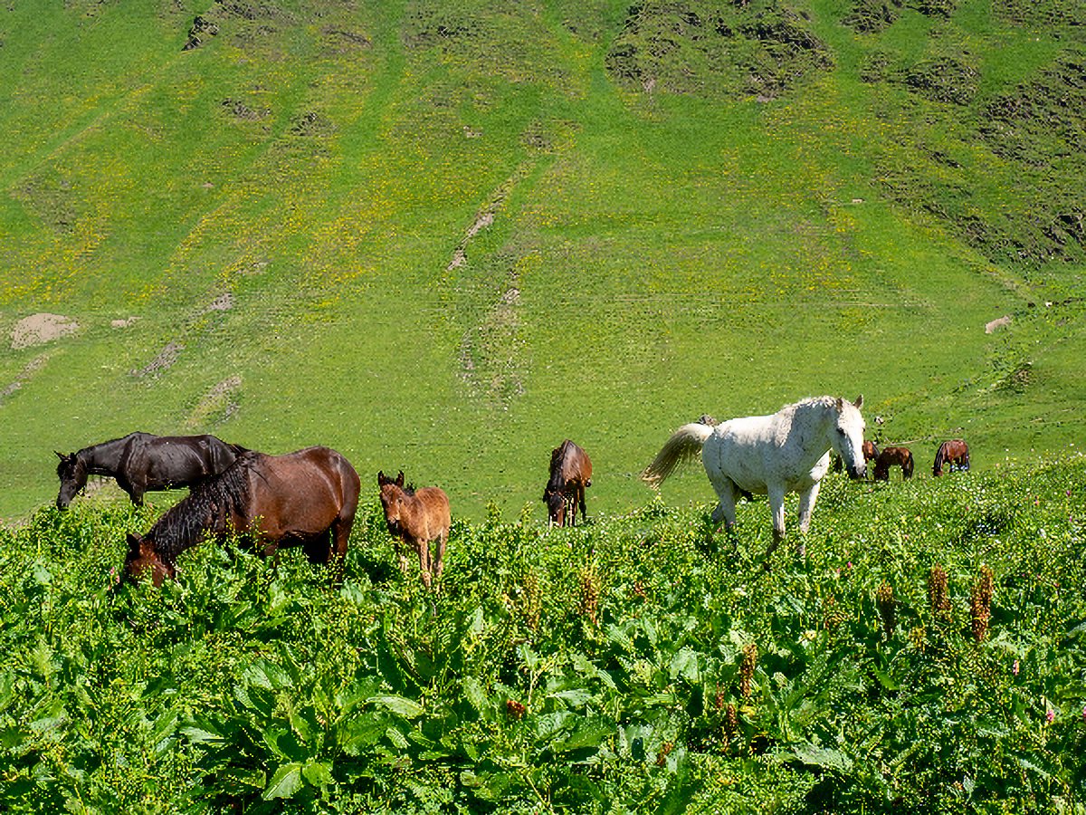 imageupscaler1's tweet image. We continuously  working on our website. After last update it works faster.  First photo -  initial, second after resize. Try it now! :) 
imageupscaler.com
#imageprocessing #imageprocessingonline #resizeimage #resizeimage #resizeimagesonline #resizeimageonline #upscaleimage