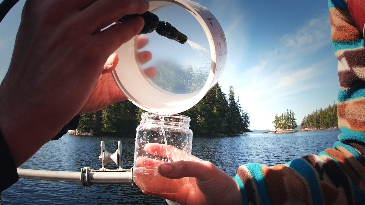 HakaiInstitute's tweet image. We're co-hosting a zooplankton workshop on Quadra Island on Oct 12-13 prior to the #PICES meeting

Application deadline: July 18

meetings.pices.int/members/events…

#Oceanography #Plankton