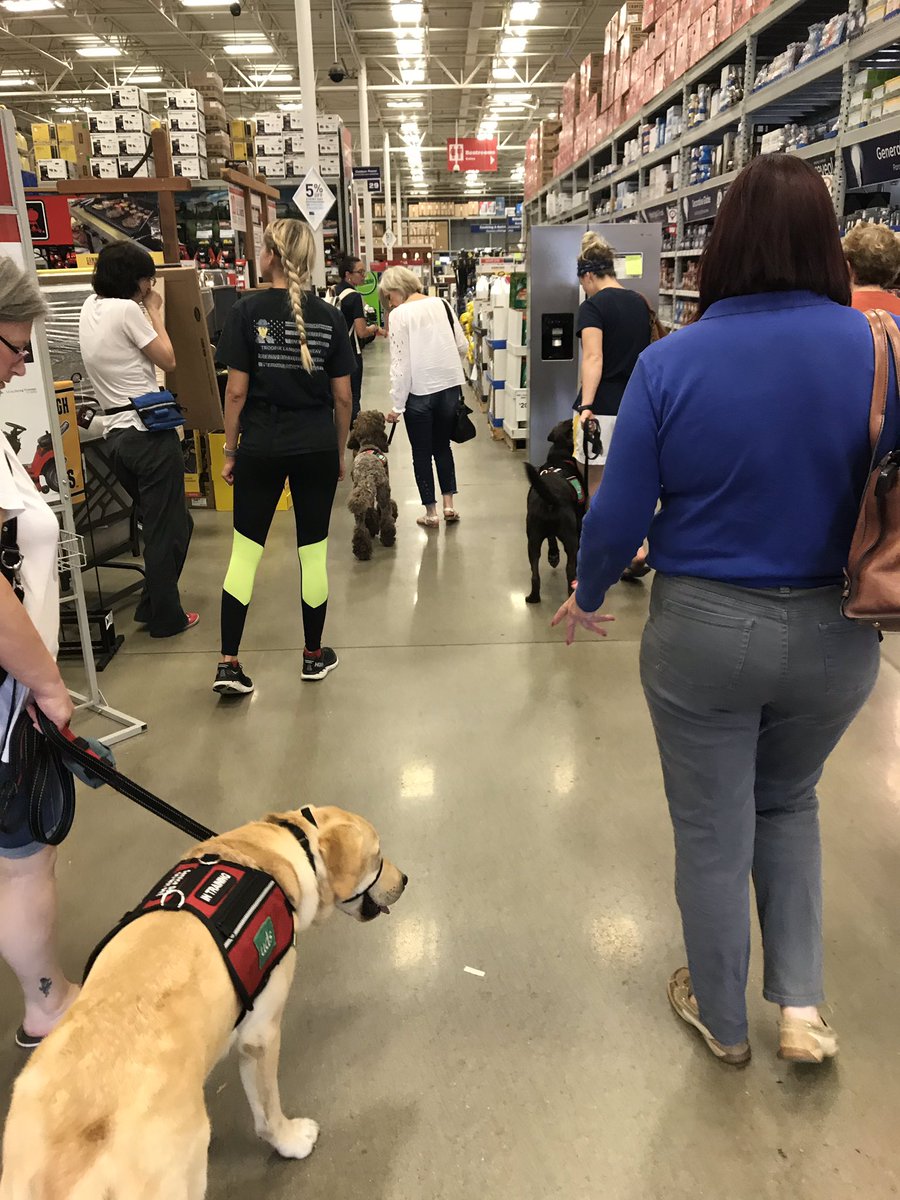 HambrightElem's tweet photo. Training today included a trip to Lowes! #udsservicedogs https://t.co/Vf5aYo9Q3V