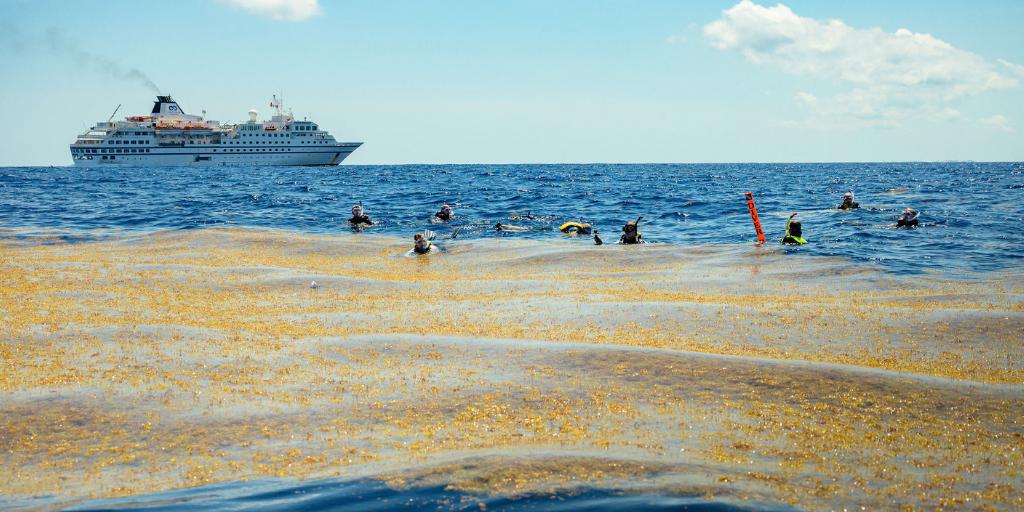 Sealed_Air's tweet photo. Recently, our CEO attended the Ocean Plastics Leadership Summit, an expedition with executives from more than 100 companies and NGOs who spent 3 days at sea getting a first-hand look at plastic pollution. Learn about his experience on this voyage: https://t.co/FfZ9CIVegw https://t.co/3dzeg8OPOJ