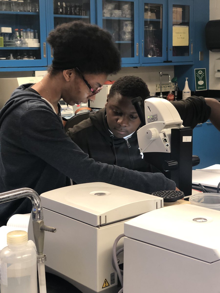 pittbiooutreach's tweet photo. Gene team 2019 is underway! https://t.co/ChCjFiRaUt