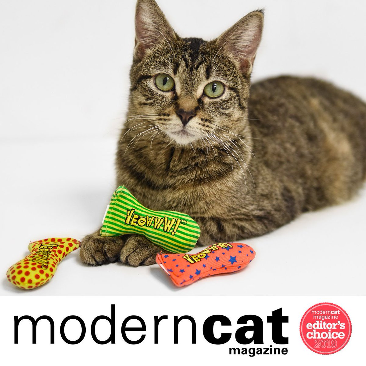 YeowwwCatnip's tweet image. Editor's Choice from @ModernCatMag ! Raise your paw if you're also a fan of Yeowww! Stinkies Sardines! #yeowwwcatnip #moderncatmagazine #catniptoy #CatsOfTwitter #catconworldwide