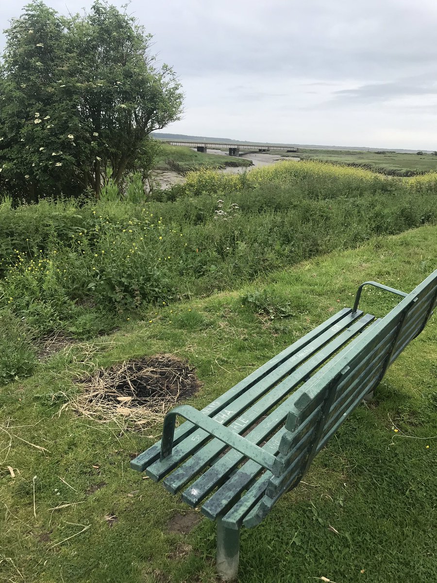 Arson Reduction MAWW Fire & Rescue tweet media