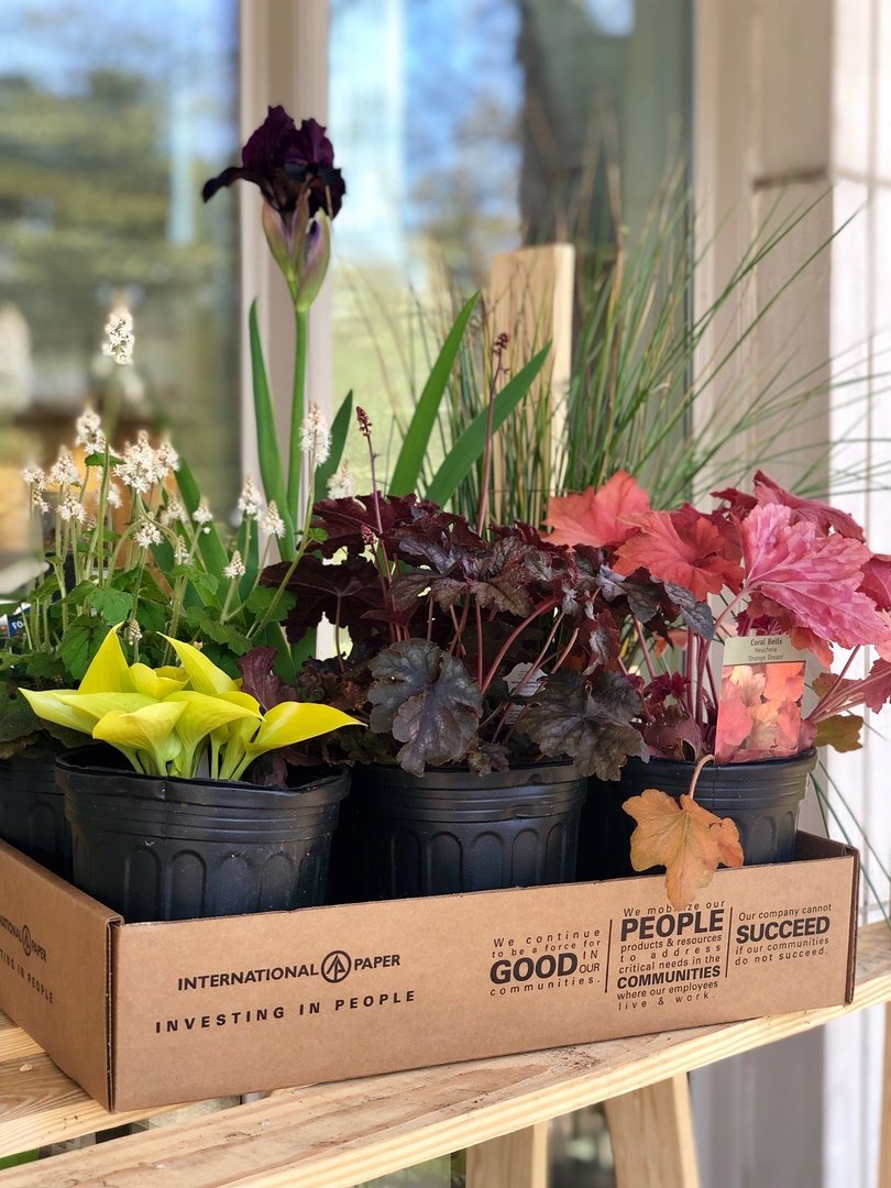 IntlPaperCo's tweet photo. As part of our commitment to #InvestingInPeople, we donated products, provided volunteers and contributed over $21 million in 2018 to address needs in the communities where our employees live and work. #TheIPWayForward https://t.co/lZIPRlbiwH