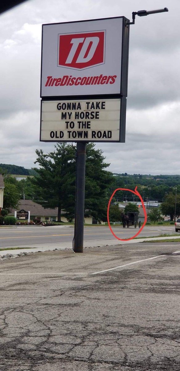 TireDiscounters's tweet photo. Even a horse knows, details matter.
#copysign #TuesdayThoughts https://t.co/Sr8stTmGvf