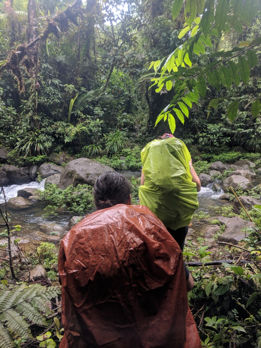 Lauren Maynard, Ph.D. tweet media