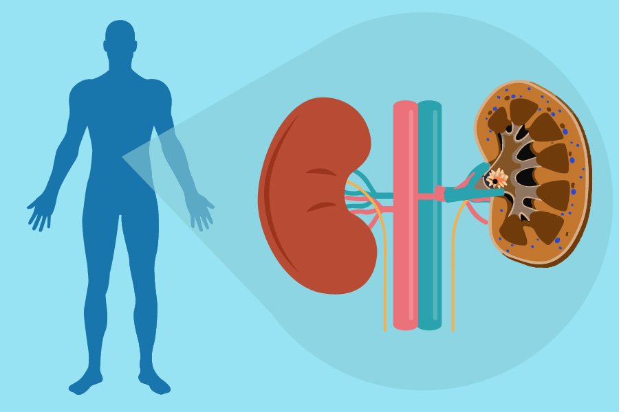 fmdiabetes's tweet image. #ProfesionalDeLaSalud esto te puede interesar.
Te queremos poner al tanto del Congreso #ADA2019 @AmDiabetesAssn 
#FMDNoticias La dapagliflozina reduce la progresión de la enfermedad renal y la muerte renal en personas con Diabetes tipo 2. Continúa leyendo: bit.ly/2WQFLLl