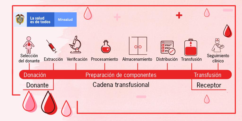 La donación de sangre es un proceso seguro que se hace bajo la res... | Scoopnest