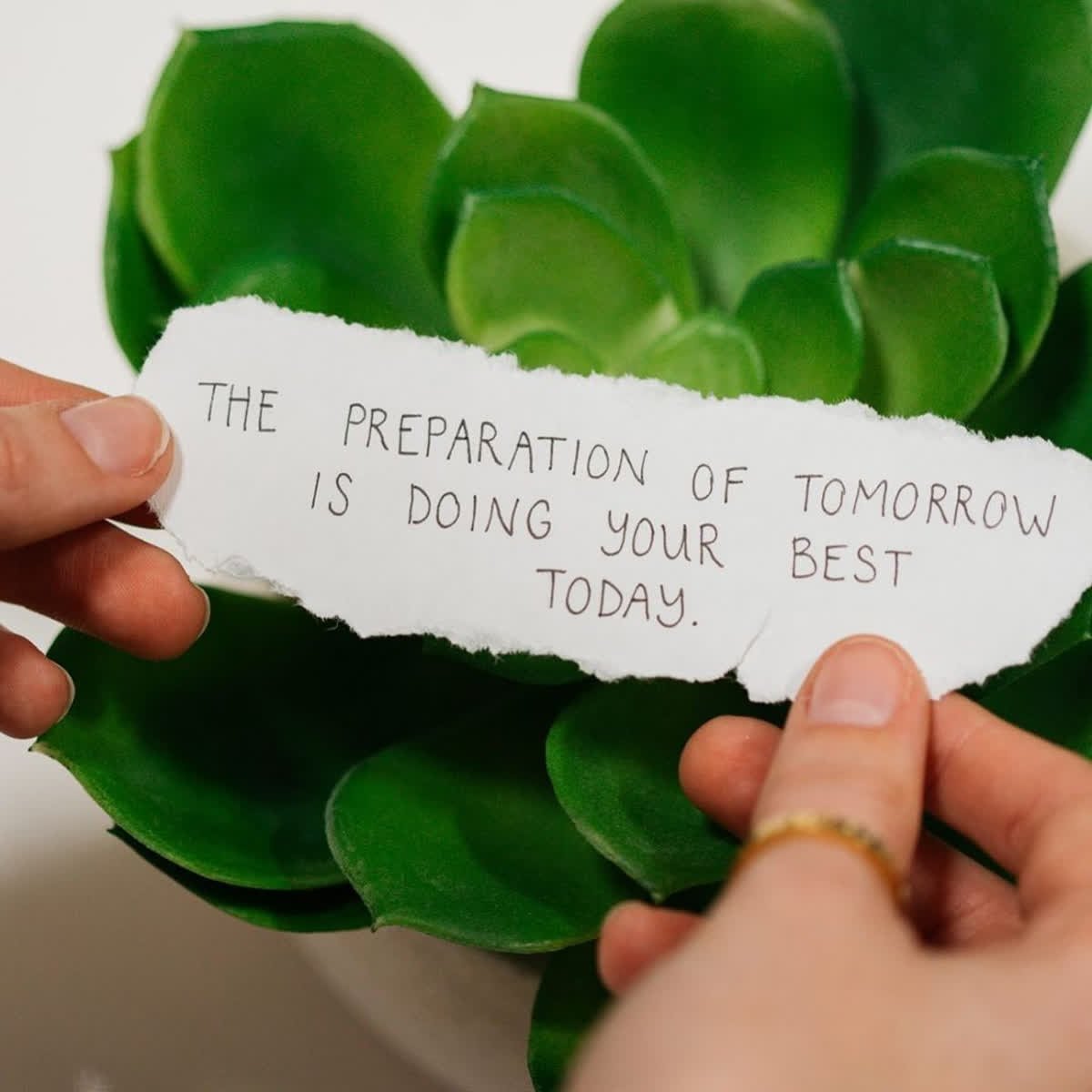 GetSmartWork's tweet image. The preparation of tomorrow is doing your best today! #doyourbest #cowork
#repost from @ mantraband